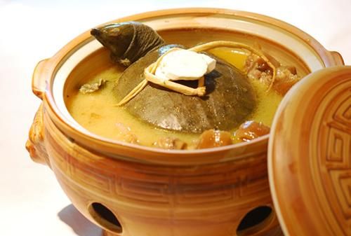 甲鱼鸡黄芪炖汤有何功效(黄芪枸杞甲鱼煲汤的功效)图2