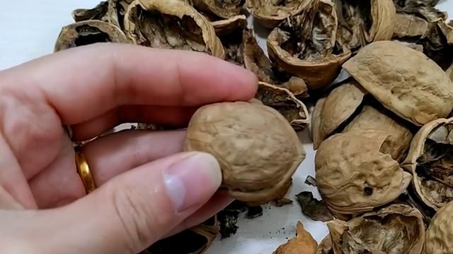 核桃皮别扔，用水煮一煮好处多，我也是刚知道，快看看
