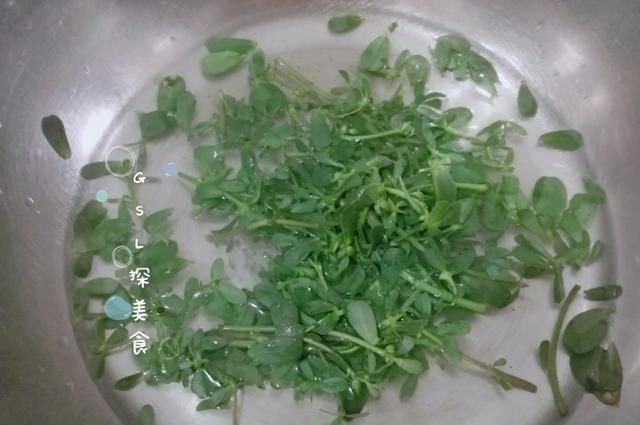 马苋莱怎么做好吃,马齿苋的吃法图8