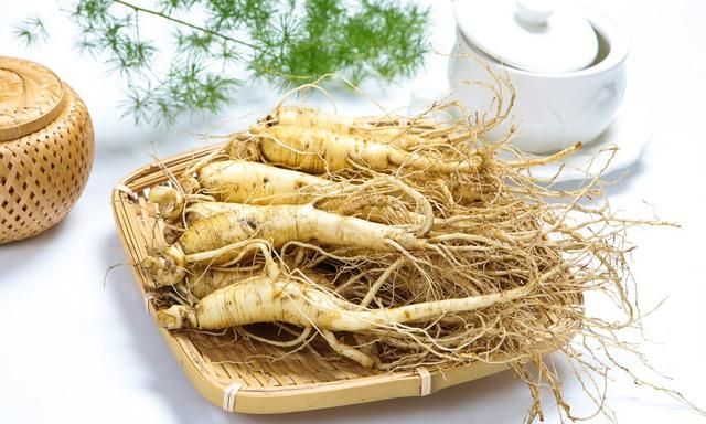 种植人参发展前景好么(人工种植的人参好不好)图5