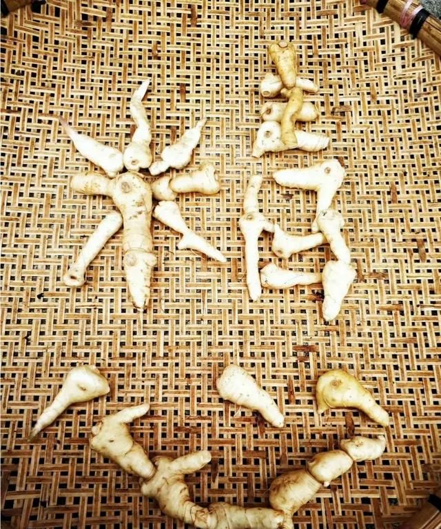 黄精怎样做食用起来效果好,黄精怎么样食用效果最好图7