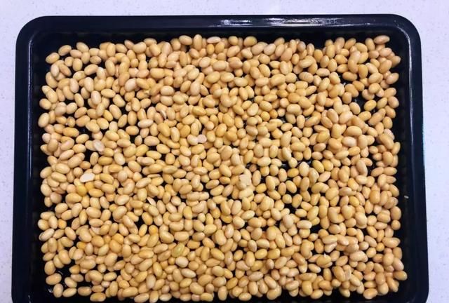 被纳豆劝退，你可能没get到正确的吃纳豆方法