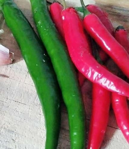 兔子肉怎么做好吃还简单,兔子肉怎么做好吃家常做法图5