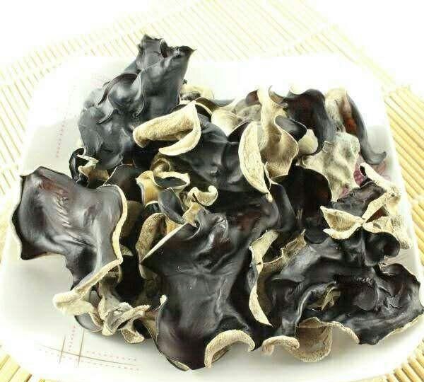 怎么种植毛木耳(如何培植毛木耳)图2