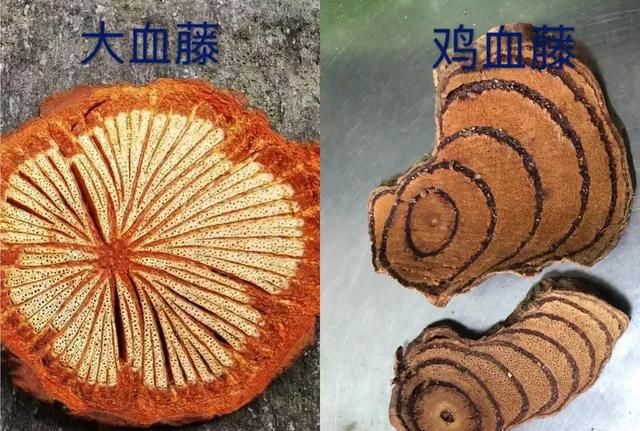 鸡血藤的作用是什么,鸡血藤都有什么功效图3
