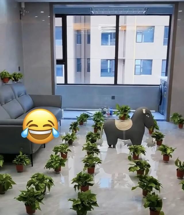 这9个除甲醛的妙招，8个都是智商税，不是误导，是过来人的经验