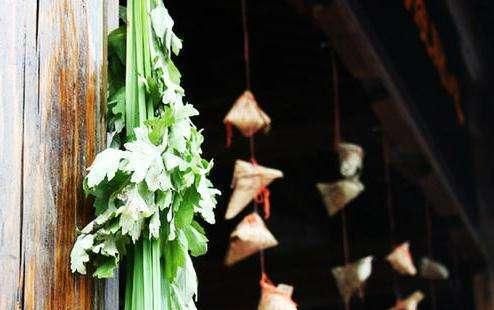 端午节也是“古代卫生节”，你家挂上艾草和菖蒲了吗？