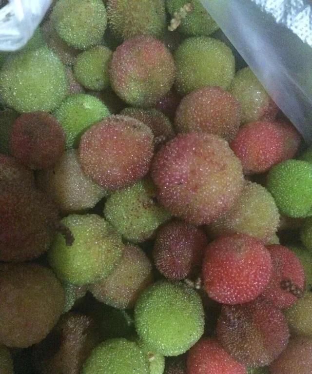 怎么煮杨梅吃,煮杨梅的吃法图4