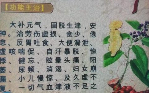 茯苓的功效与作用是什么(白茯苓的功效与作用是什么呢)