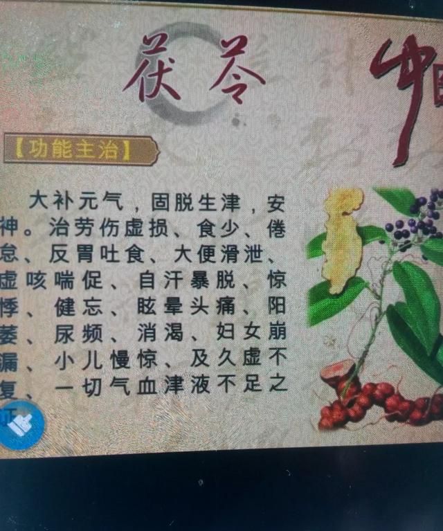 茯苓的功效与作用是什么(白茯苓的功效与作用是什么呢)图1