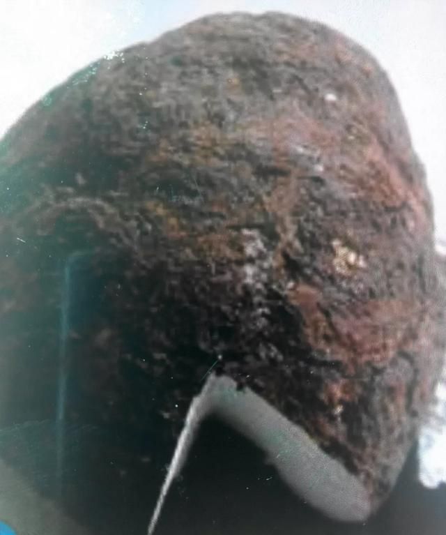 茯苓的功效与作用是什么(白茯苓的功效与作用是什么呢)图3