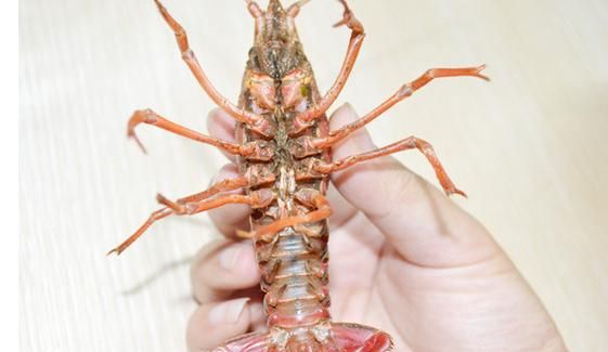 吃大虾这么多年，没想到正确的清洗方法是这样的！