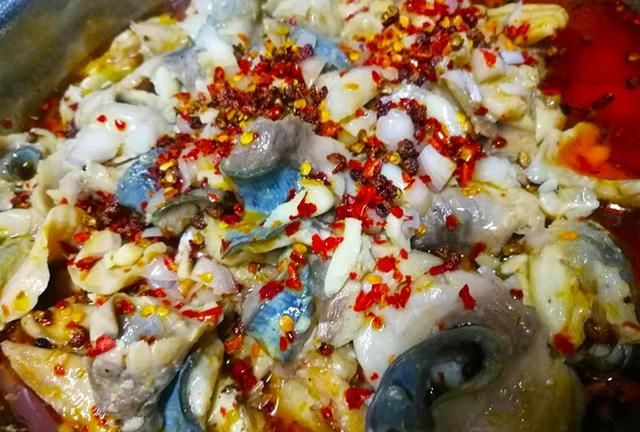 钓到的鲤鱼怎样才能让它长久存活图10