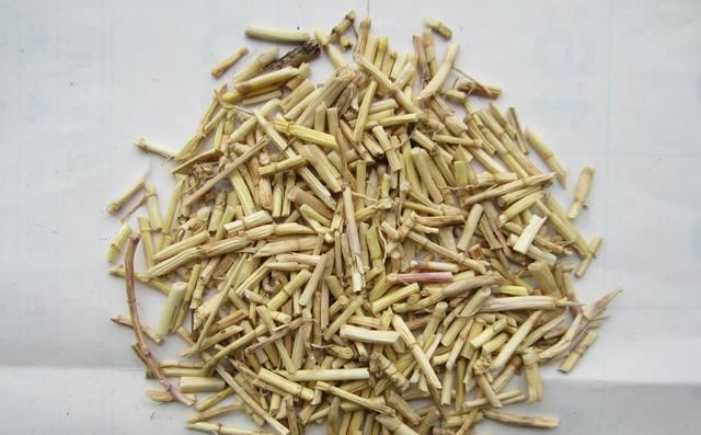 车前草的功效与作用有哪些？为什么它能救命？怎么用才有效？