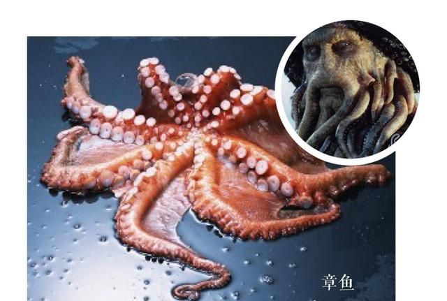 梅花肉怎么做最好吃,烧梅花肉的家常做法图8