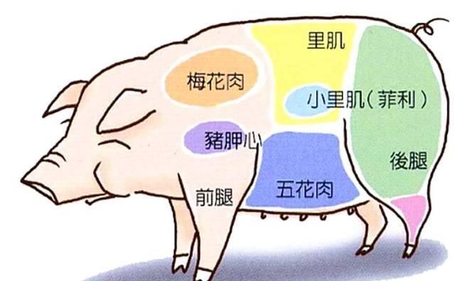 梅花肉有淋巴吗图片