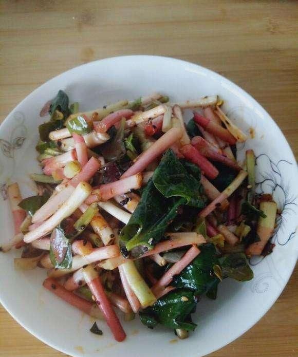 鱼腥草的几款做法（收藏起）