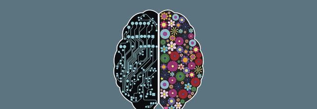 《效率脑科学》读书笔记：大脑的分工