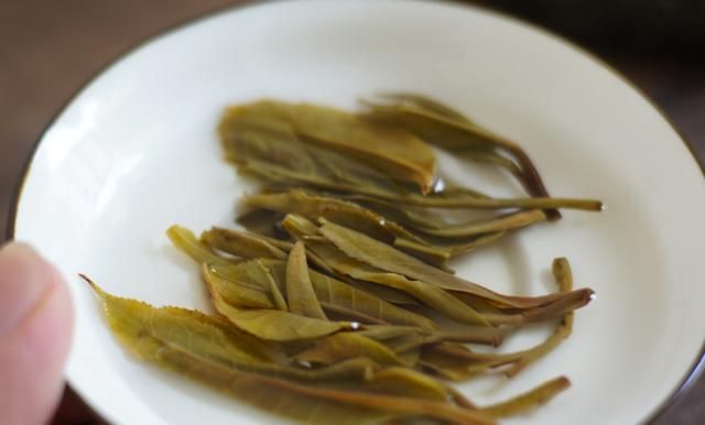 普洱茶的夏茶为什么叫雨水茶呢(普洱茶的雨水茶是什么意思)图8