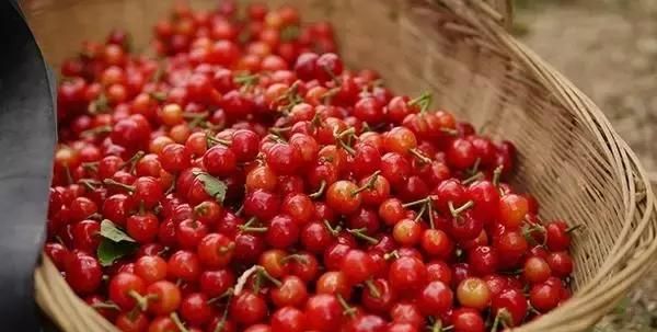 年味十足的四川特产！过年带这些美食回家才有川范儿！
