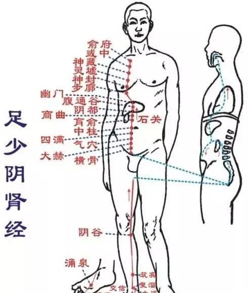 艾灸足三里和太溪穴有什么好处(艾灸完足三里可以艾灸太溪穴吗)图2