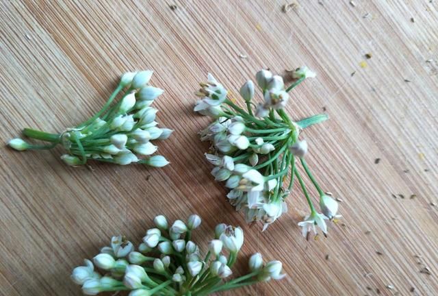 韭菜花收获的季节，怎么制作韭花酱，韭菜花的功效与营养价值