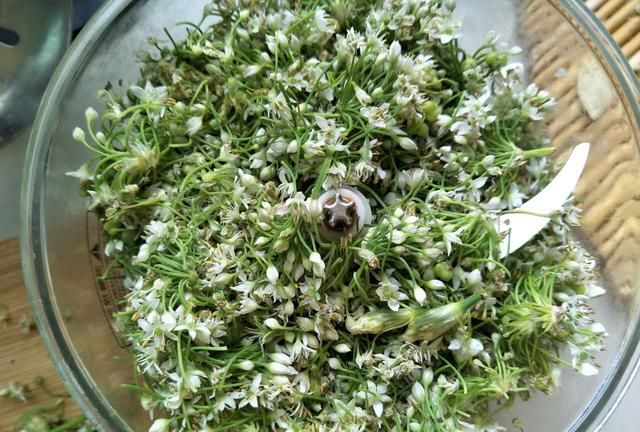 韭菜花收获的季节，怎么制作韭花酱，韭菜花的功效与营养价值