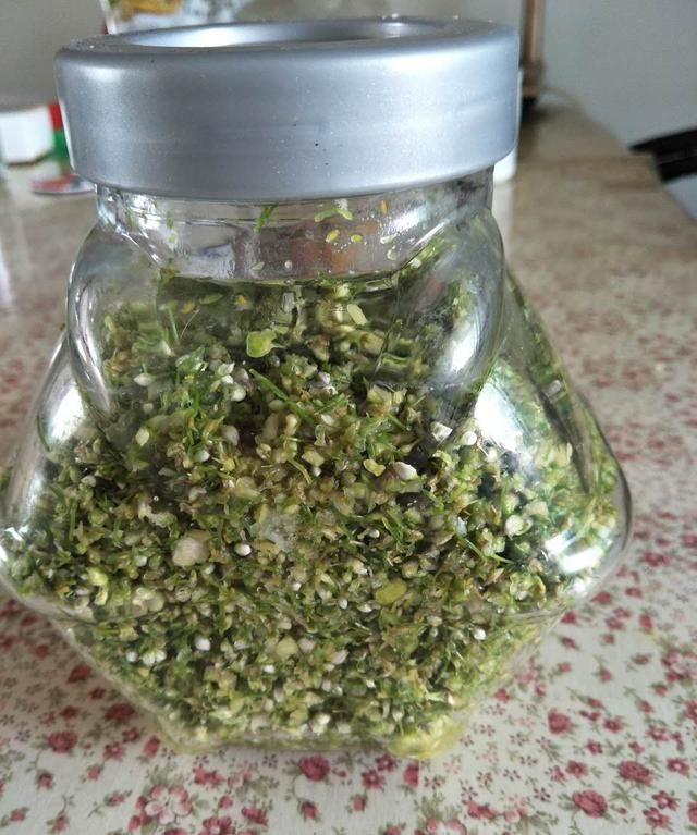 韭菜花收获的季节，怎么制作韭花酱，韭菜花的功效与营养价值
