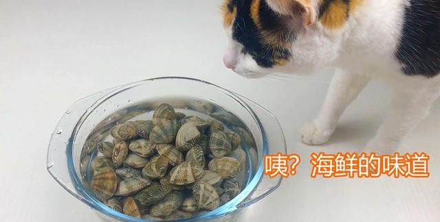花蛤怎么做好吃一点的图2