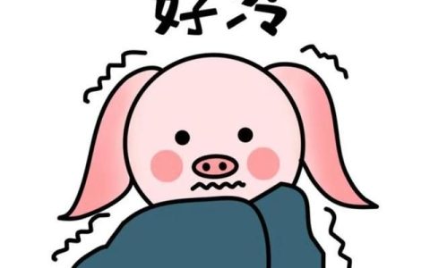 脚暖不热小妙招,冬天小腿以下和脚全部冰凉怎么办