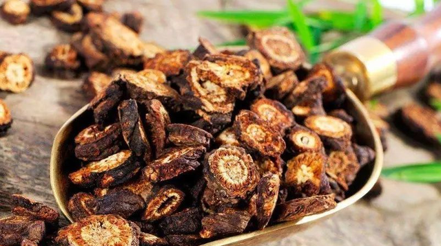 于天星教授：羌活不仅仅是一味解表药，更可以治疗心脑血管病