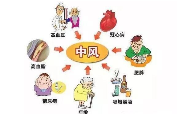 于天星教授：羌活不仅仅是一味解表药，更可以治疗心脑血管病