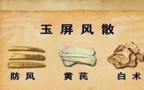 玉屏风散的功效与作用及禁忌(玉屏风散的功效和作用和禁忌)