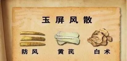 玉屏风散的功效与作用及禁忌(玉屏风散的功效和作用和禁忌)图1