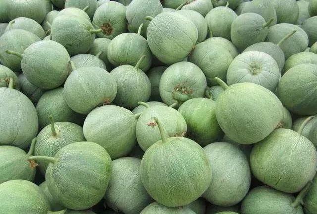 甜瓜怎么选好吃,熟图2