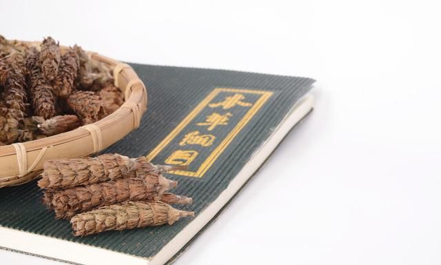 盘点8味由粪便制成的中药，是“变废为宝”还是“愚昧无知”？
