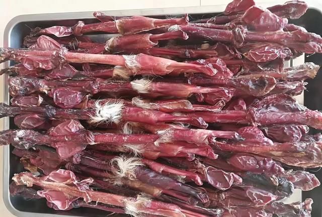 鲜鹿鞭泡酒好吗(鹿尾鞭泡酒多久可以喝)图16