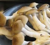 八珍菜肴,都是哪八珍菜肴呢图28