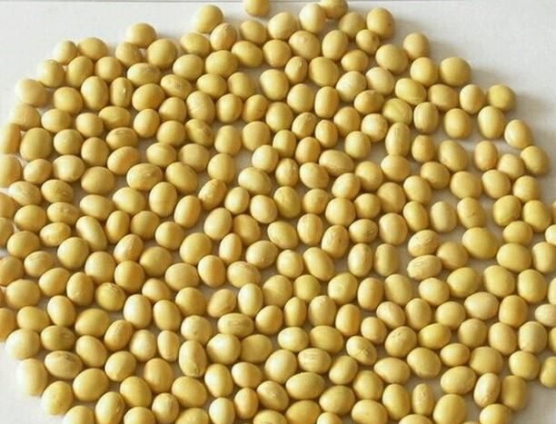纳豆好吃嘛?纳豆怎么做比较好吃呢图2