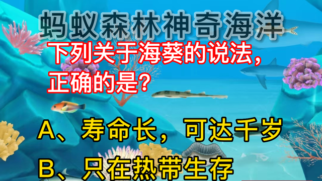 关于海葵的说法，正确的是？蚂蚁森林神奇海洋