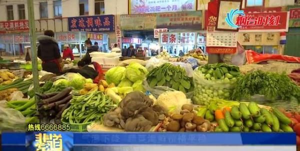 气温下降烟台蔬菜海鲜价格平稳 鲜海参85元一斤