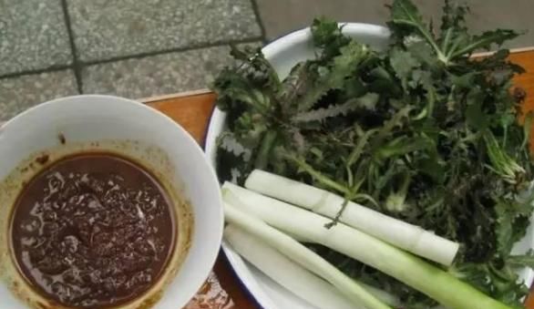 苦菜根怎么吃好吃(苦菜根怎么做好吃)图1
