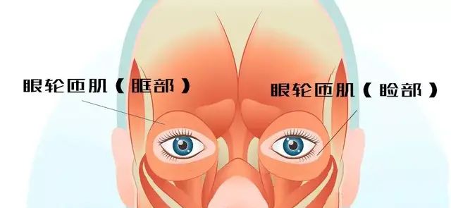 消眼袋需要解决3个问题？健康可爱，没有眼袋能实现吗？