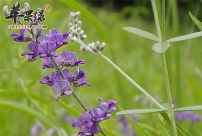 衡阳弘信医药公司祁东,衡阳弘信医药有限责任公司图1
