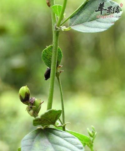 衡阳弘信医药公司祁东,衡阳弘信医药有限责任公司图2