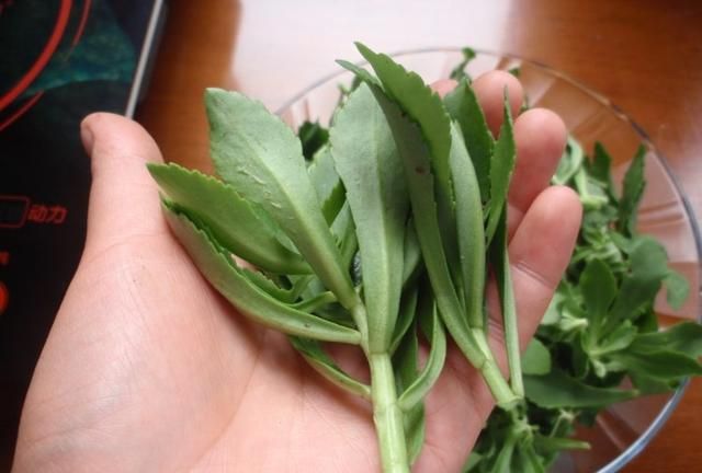 请问高钙菜怎么做好吃呢图4