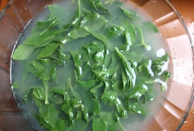 请问高钙菜怎么做好吃呢图13