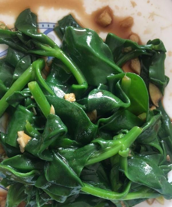 凉拌穿心莲的家常做法，简单快捷又好吃