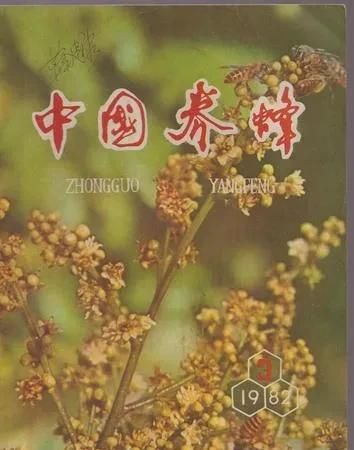 蜂疗可以治疗痛风吗,蜂疗灸可以治疗痛风吗图1