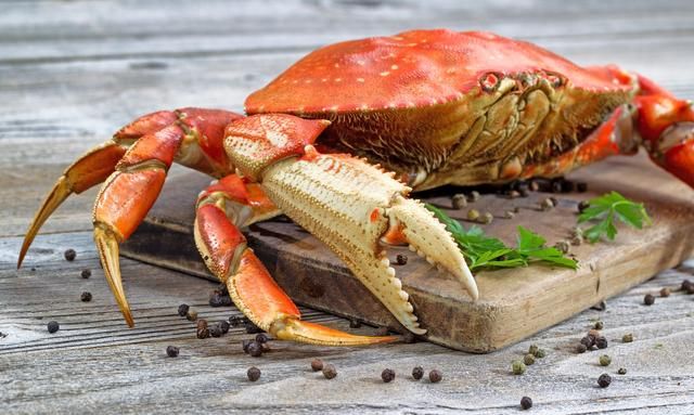 为什么死螃蟹不能吃